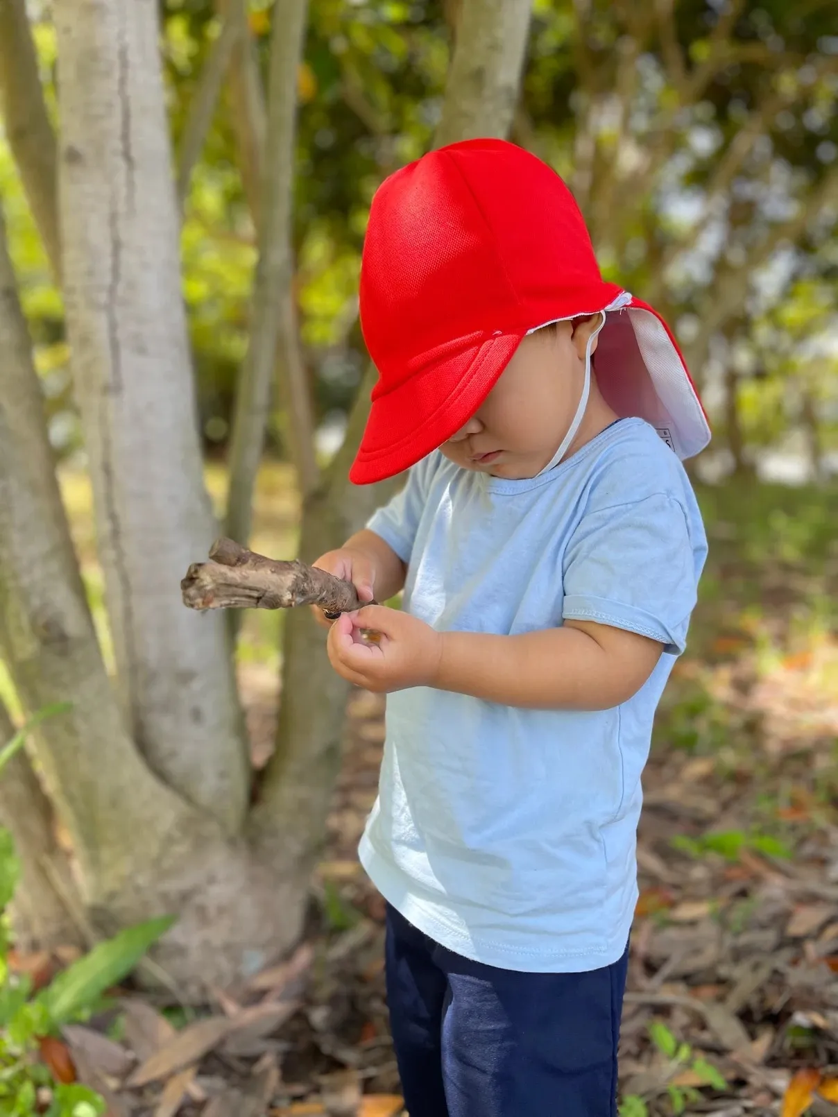 そとあそびの様子