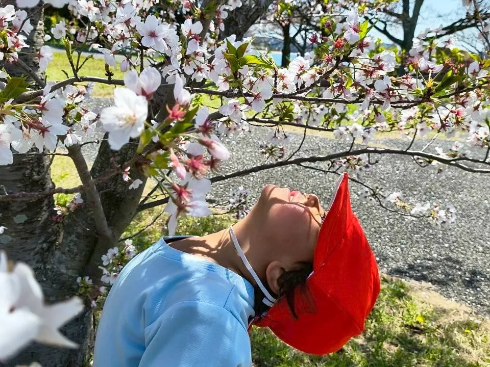 2026年4月8日　HANAMI ❤️DAY