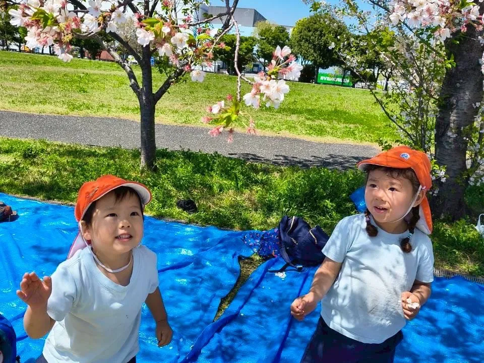 2026年4月8日　HANAMI ❤️DAY