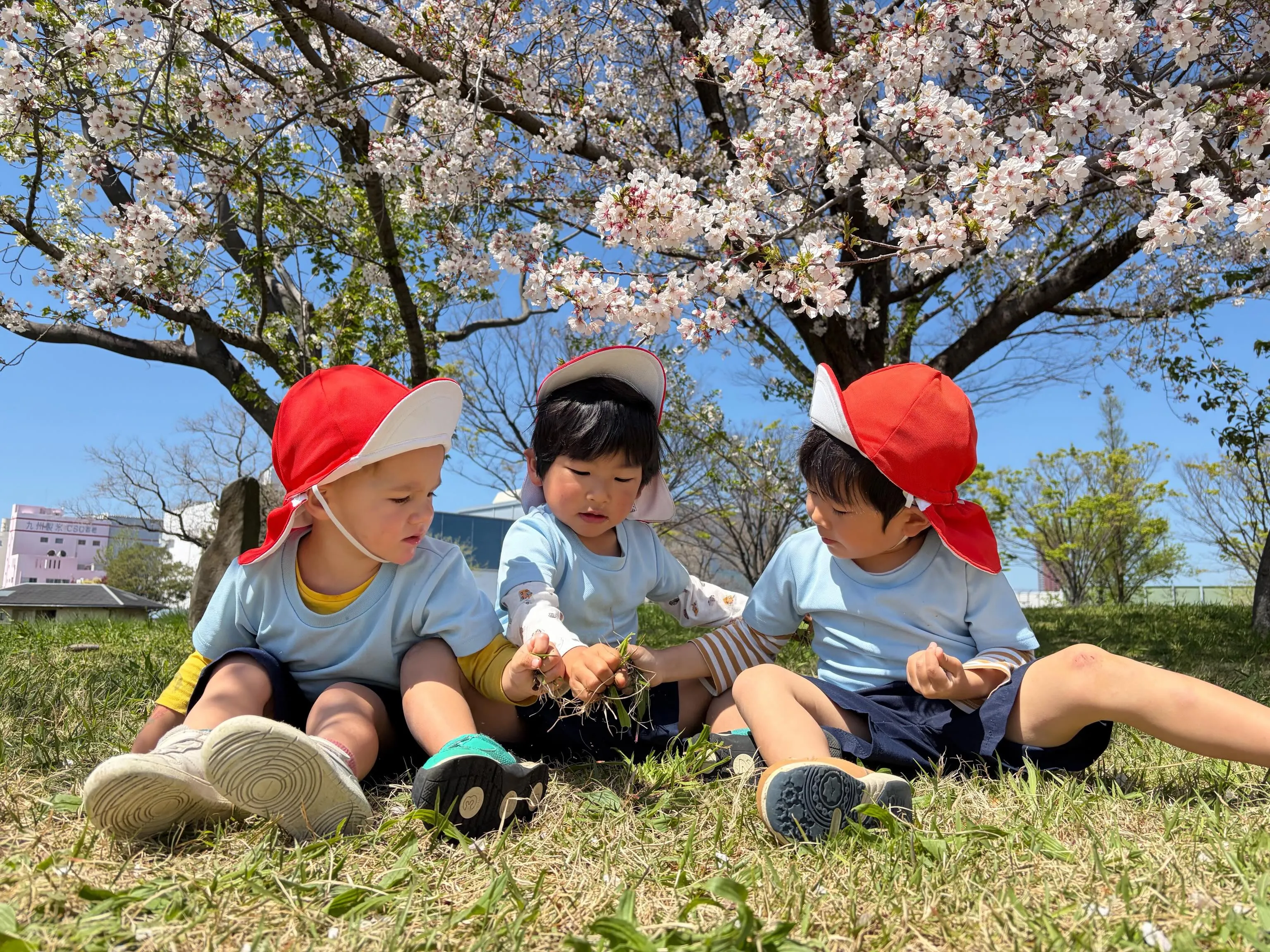 2026年4月8日　HANAMI ❤️DAY