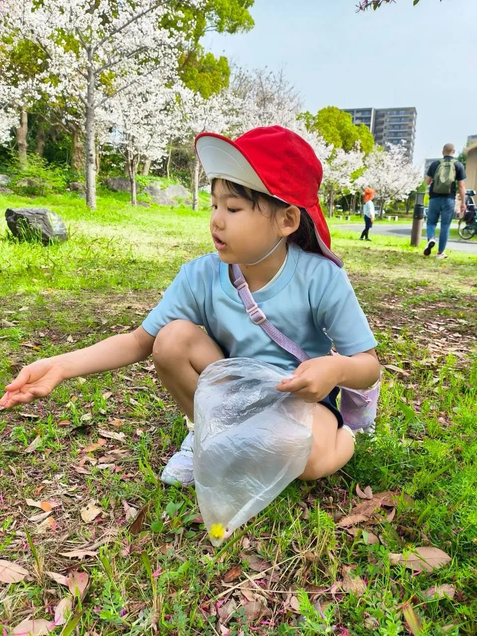 Searching for spring