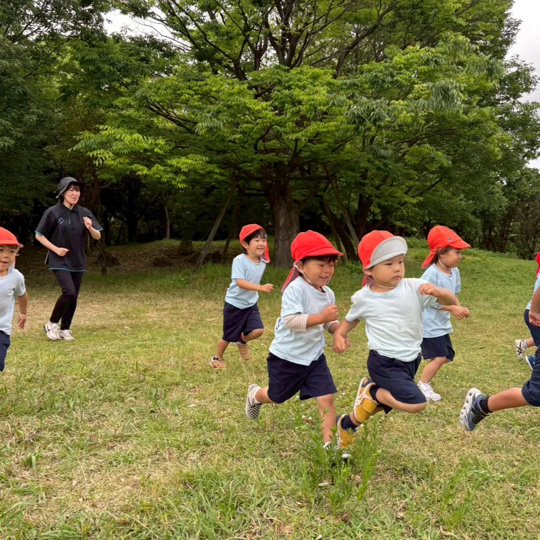公園に散らばったいろんな形のカードをHuntingするレクリ...