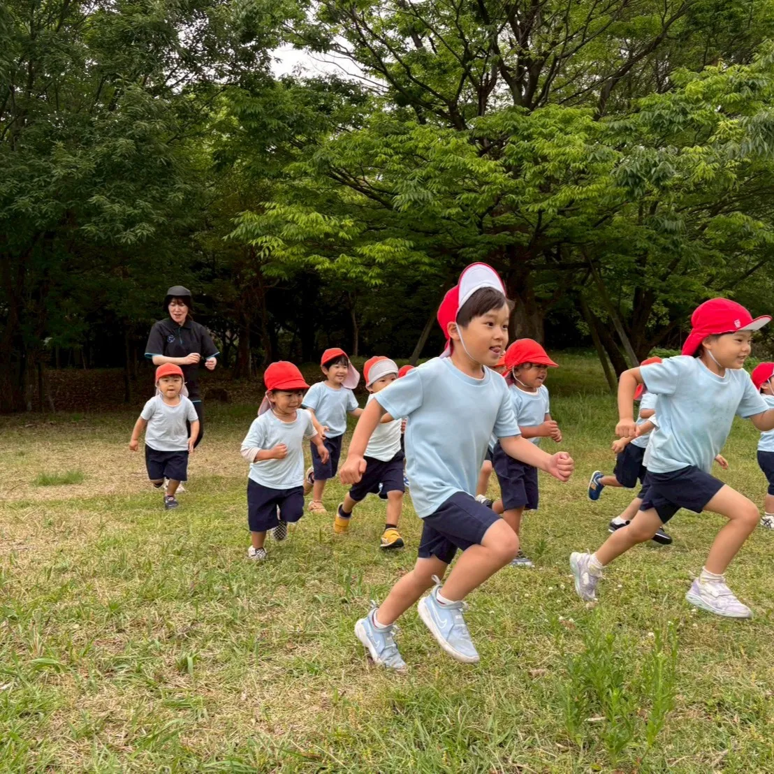公園に散らばったいろんな形のカードをHuntingするレクリ...