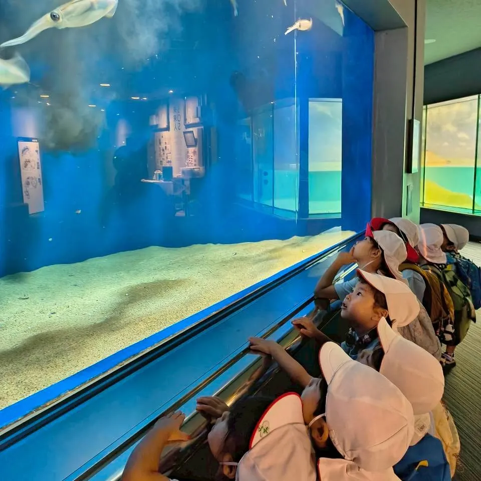 6月のテーマ「海」のReggio活動の集大成として、Mari...