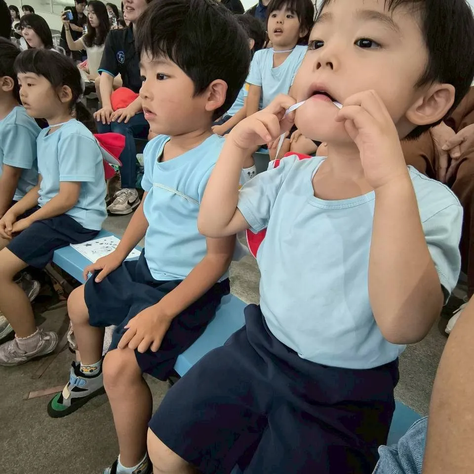 6月のテーマ「海」のReggio活動の集大成として、Mari...